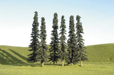 (image for) 5" - 6" Conifer Trees (WF)