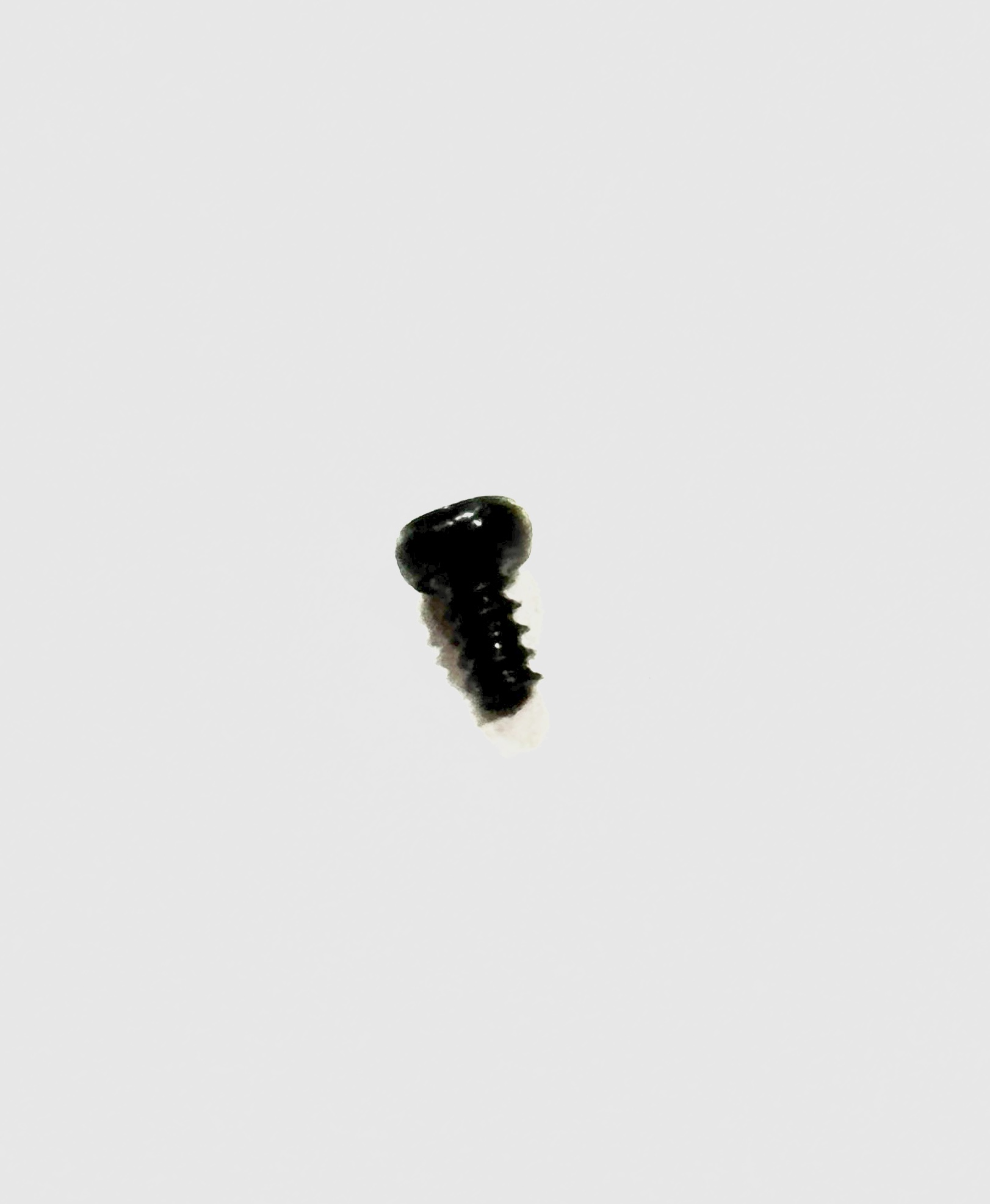 (image for) Brake Wheel Screw (O Scale 40ft Boxcar)