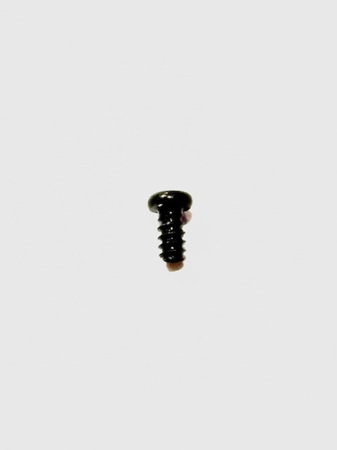 (image for) Motor Holder Screw (O Scale Peter Witt)