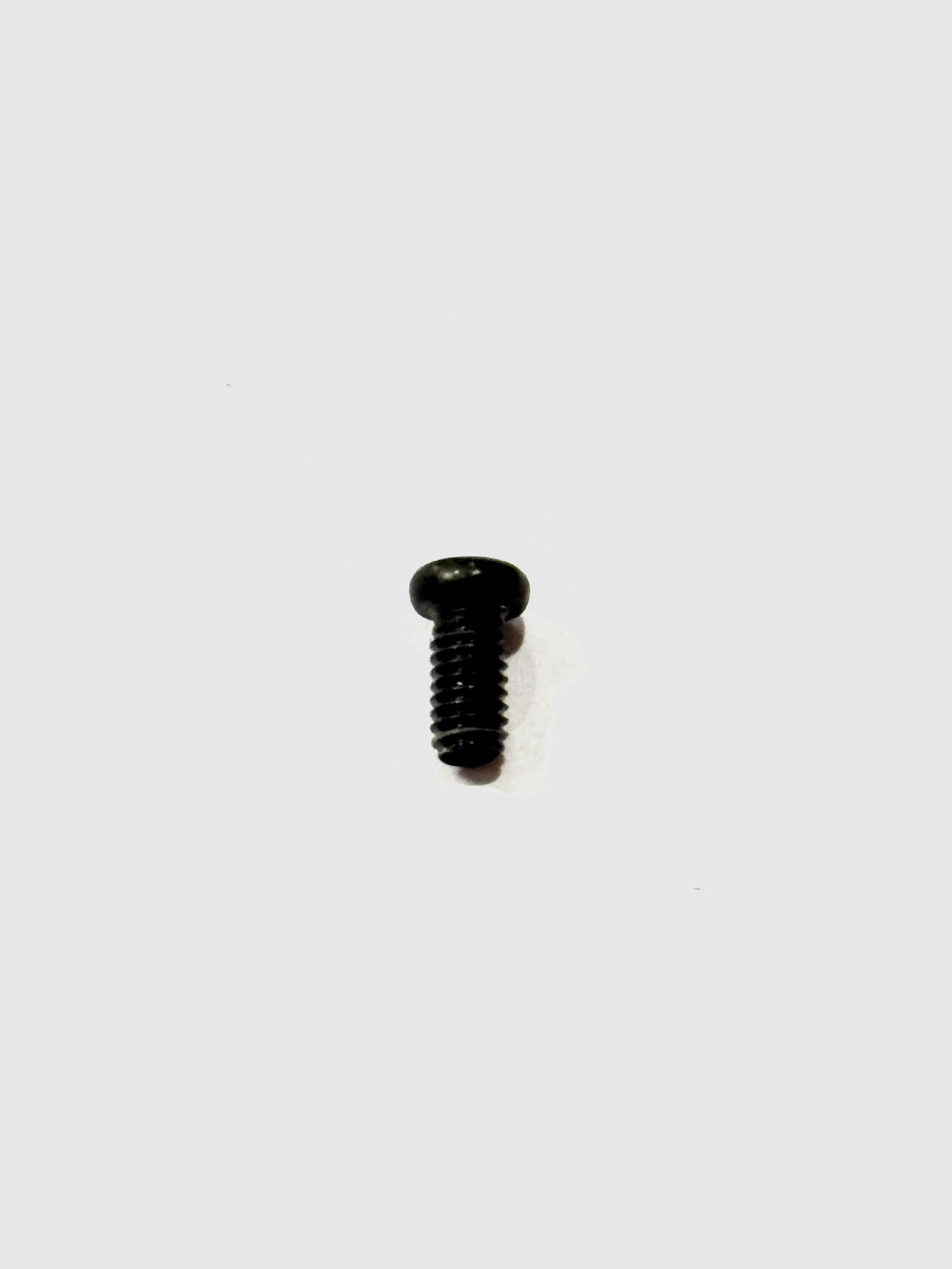 (image for) Chassis Weight Screw (O Scale Peter Witt)