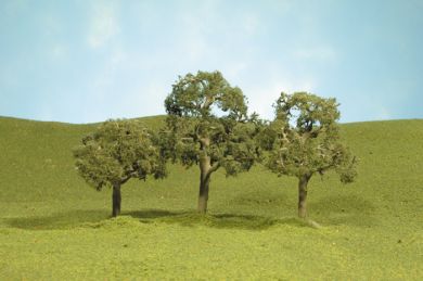 (image for) 2.5" - 3.5" Walnut Trees [WF]