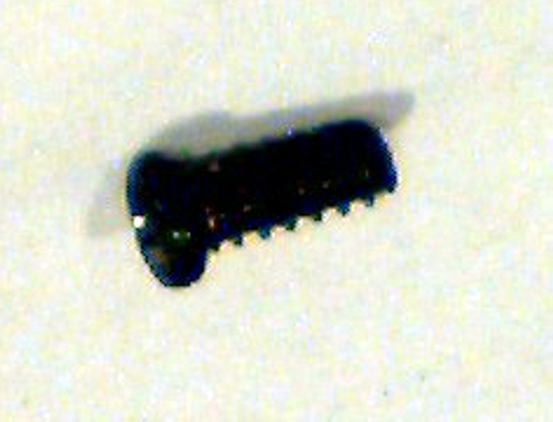 Screw 00204 (HO GP38-2)
