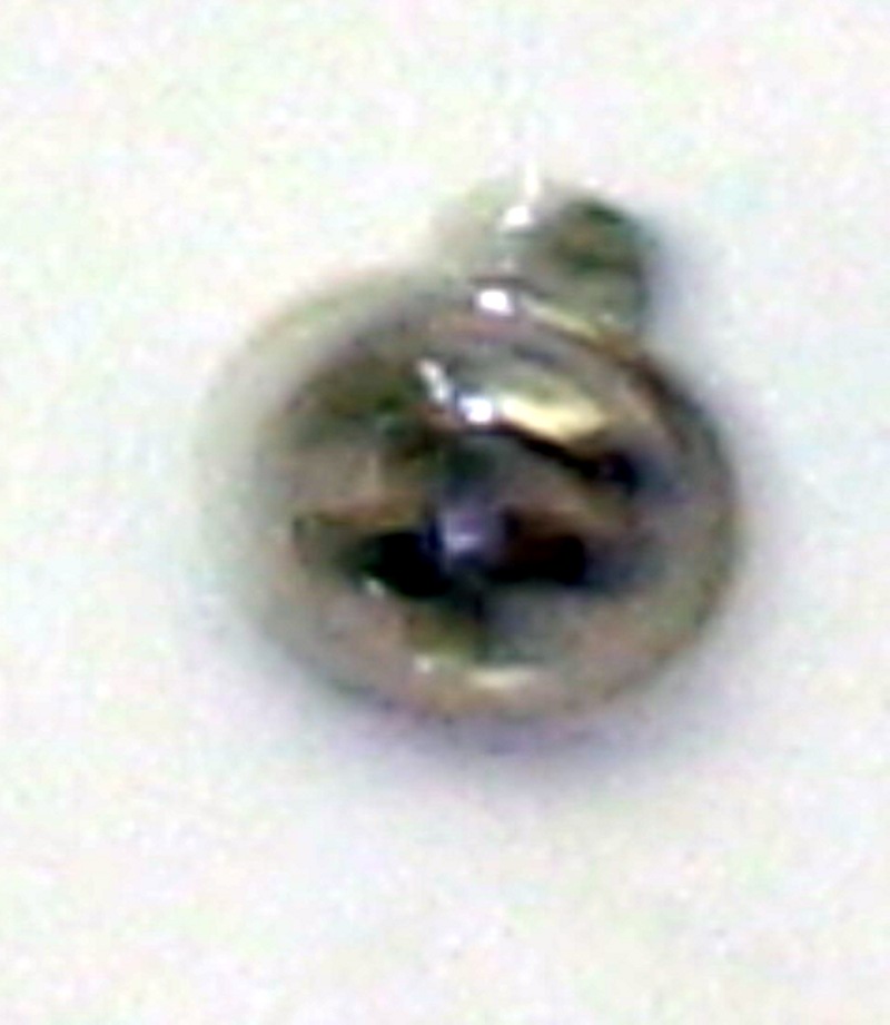 (image for) Screw 00111 (HO GP40/GP50)
