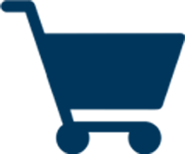 Web Store